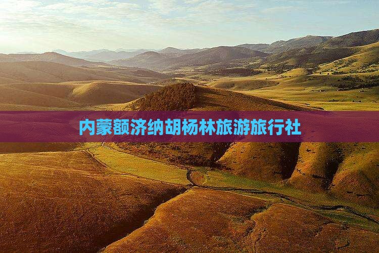 海西去内蒙额济纳胡杨林旅行社