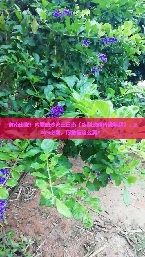 黄南去内蒙响沙湾三日游