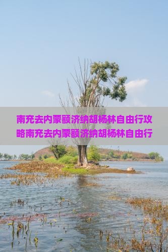 南充去内蒙额济纳胡杨林自由行