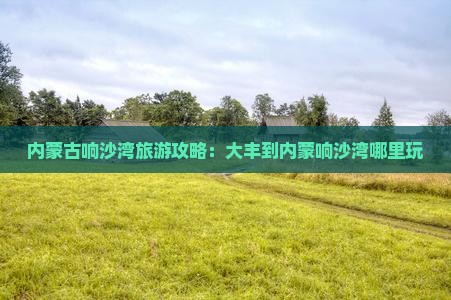 大丰到内蒙响沙湾哪里玩