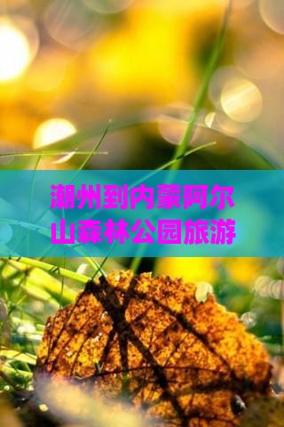 潮州到内蒙阿尔山国家森林公园旅游