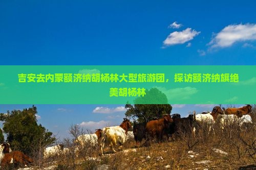 吉安去内蒙额济纳胡杨林大型旅游团