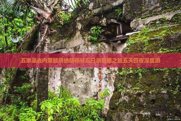 五家渠去内蒙额济纳胡杨林五日游
