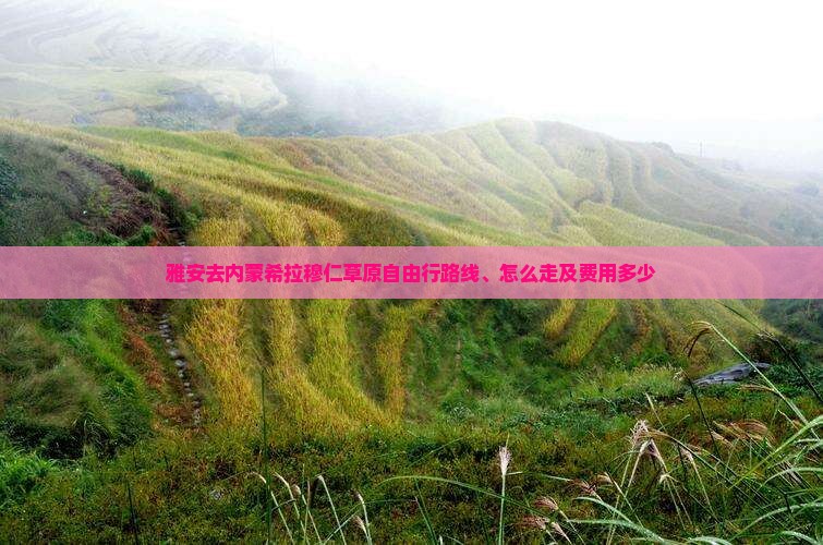 雅安去内蒙希拉穆仁草原自由行