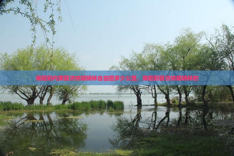 南阳到内蒙额济纳胡杨林自由团