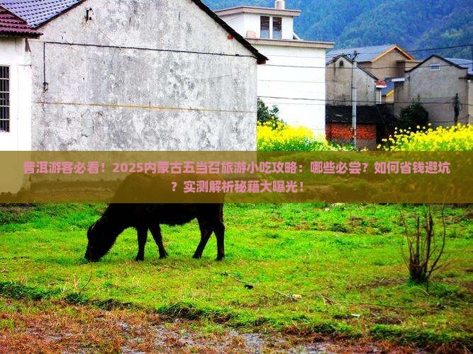 普洱去内蒙五当召旅游小吃