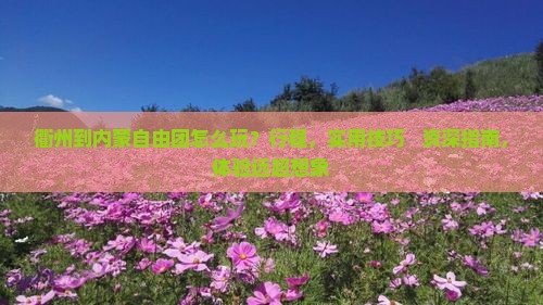 衢州到内蒙自由团