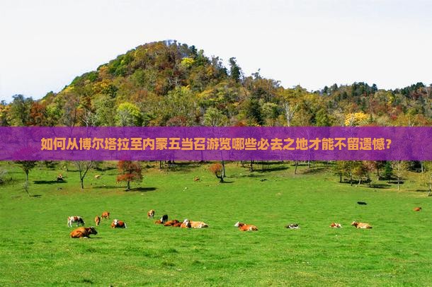 博尔塔拉到内蒙五当召必去地