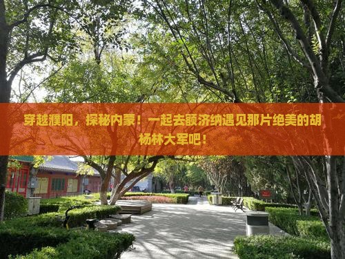 濮阳到内蒙额济纳胡杨林大型旅游团