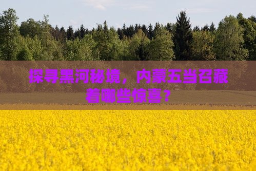黑河去内蒙五当召哪里玩