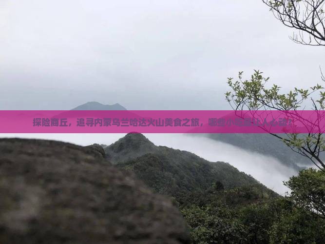 商丘到内蒙乌兰哈达火山地质公园旅游小吃