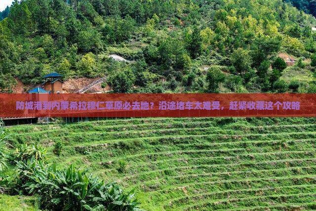 防城港到内蒙希拉穆仁草原必去地