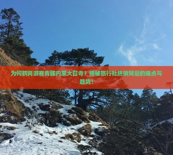 鹤岗去内蒙大召寺旅行社