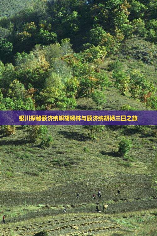 银川去内蒙额济纳胡杨林三日游