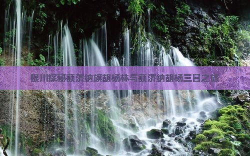 银川去内蒙额济纳胡杨林三日游
