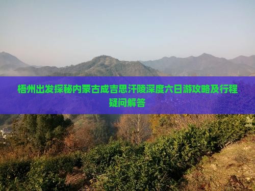 梧州去内蒙成吉思汗陵六日游