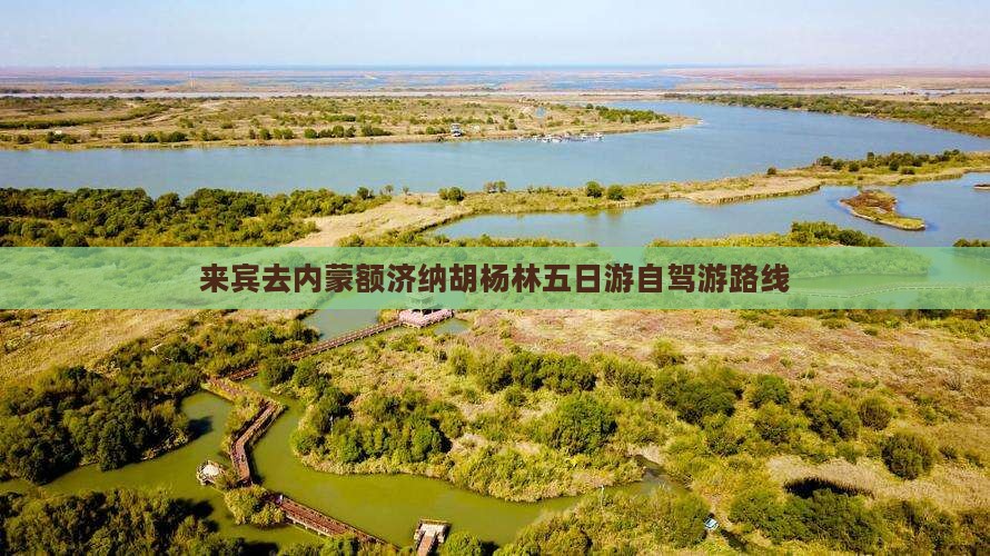 来宾去内蒙额济纳胡杨林五日游