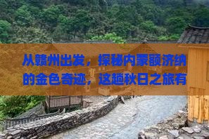 赣州到内蒙额济纳胡杨林三日游