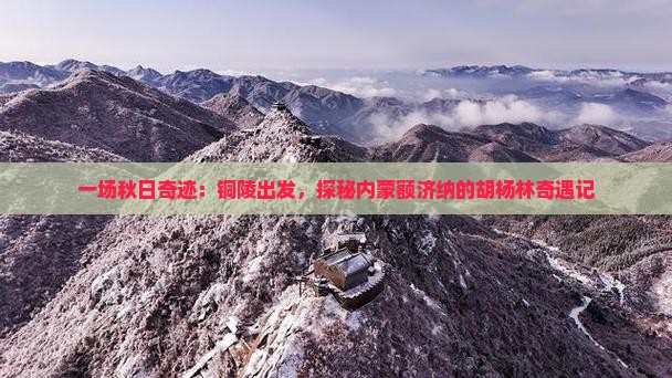 铜陵到内蒙额济纳胡杨林二日游