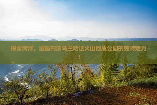 菏泽去内蒙乌兰哈达火山地质公园景点