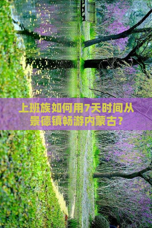 景德镇去内蒙个人游