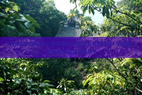 丹东到内蒙阿尔山国家森林公园哪里玩
