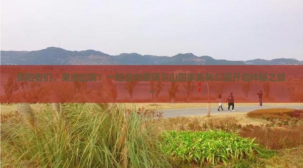 果洛到内蒙阿尔山国家森林公园团体旅游