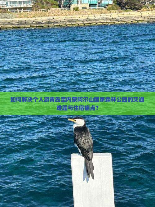 青岛去内蒙阿尔山国家森林公园个人游