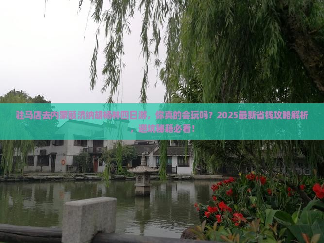 驻马店去内蒙额济纳胡杨林四日游