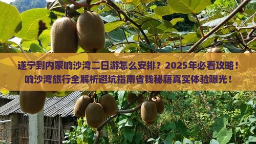 遂宁到内蒙响沙湾二日游