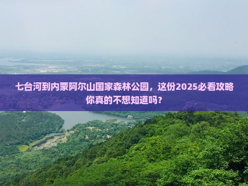 七台河到内蒙阿尔山国家森林公园团体旅游