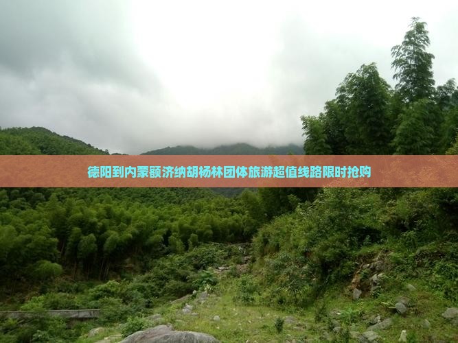 德阳到内蒙额济纳胡杨林团体旅游