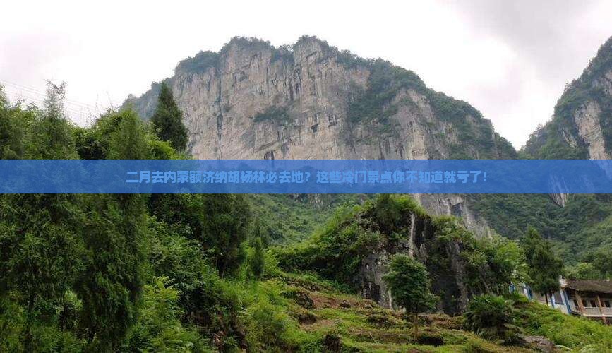 二月去内蒙额济纳胡杨林必去地