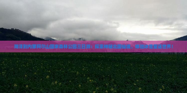 菏泽到内蒙阿尔山国家森林公园三日游