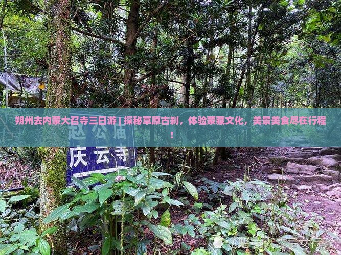 朔州去内蒙大召寺三日游
