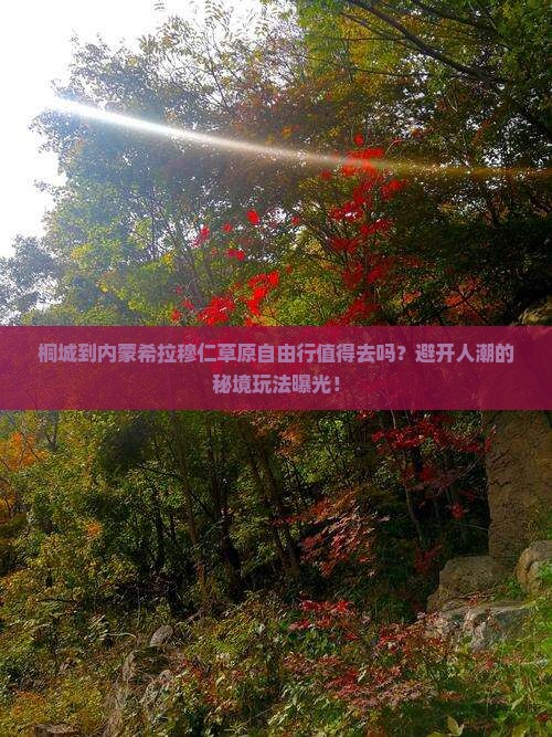 桐城到内蒙希拉穆仁草原自由行