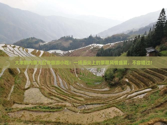 大丰到内蒙大召寺旅游小吃