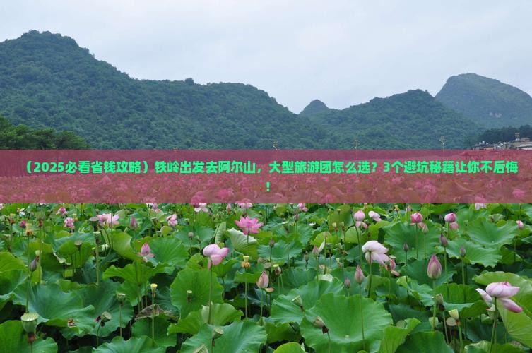 铁岭到内蒙阿尔山国家森林公园大型旅游团