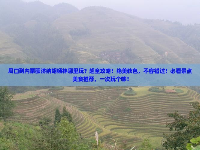周口到内蒙额济纳胡杨林哪里玩