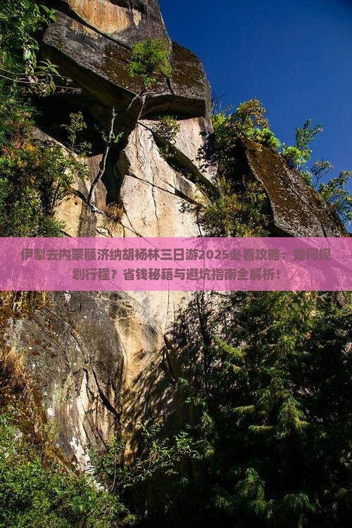 伊犁去内蒙额济纳胡杨林三日游