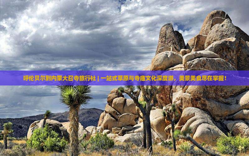 呼伦贝尔到内蒙大召寺旅行社