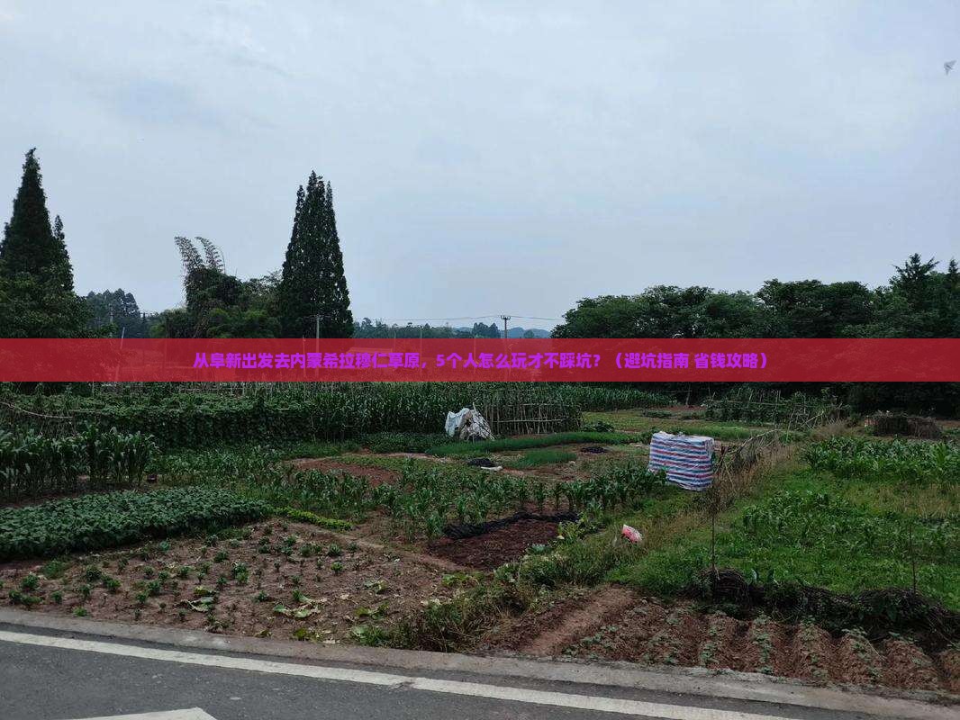 阜新到内蒙希拉穆仁草原大型旅游团