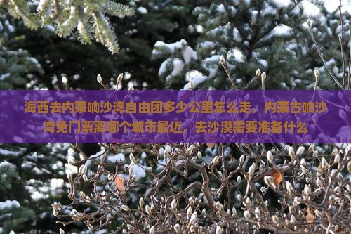 海西去内蒙响沙湾自由团 海西去内蒙响沙湾自由团