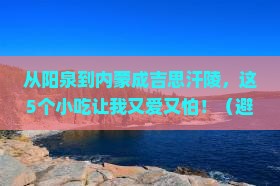 阳泉到内蒙成吉思汗陵旅游小吃