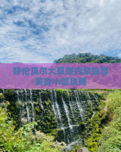 新余到内蒙呼伦贝尔大草原旅游小吃