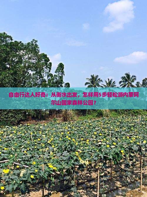 衡水到内蒙阿尔山国家森林公园旅行社