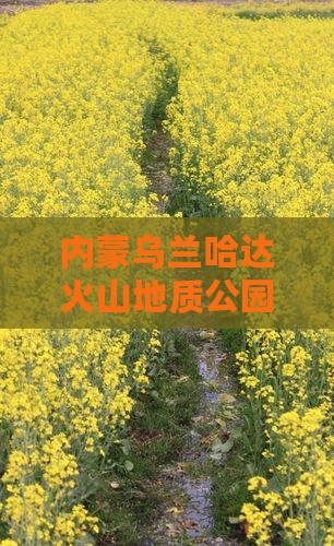 商洛到内蒙乌兰哈达火山地质公园团体旅游 商洛到内蒙乌兰哈达火山地质公园团体旅游