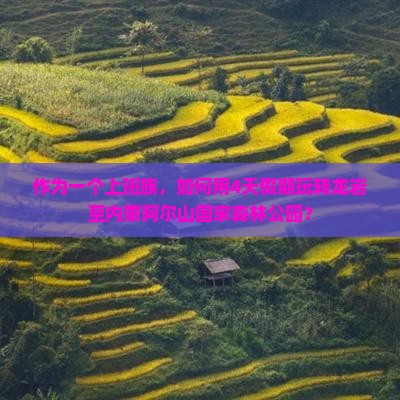 龙岩到内蒙阿尔山国家森林公园四日游