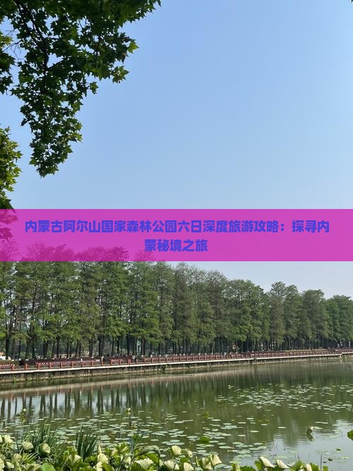 周口去内蒙阿尔山国家森林公园六日游