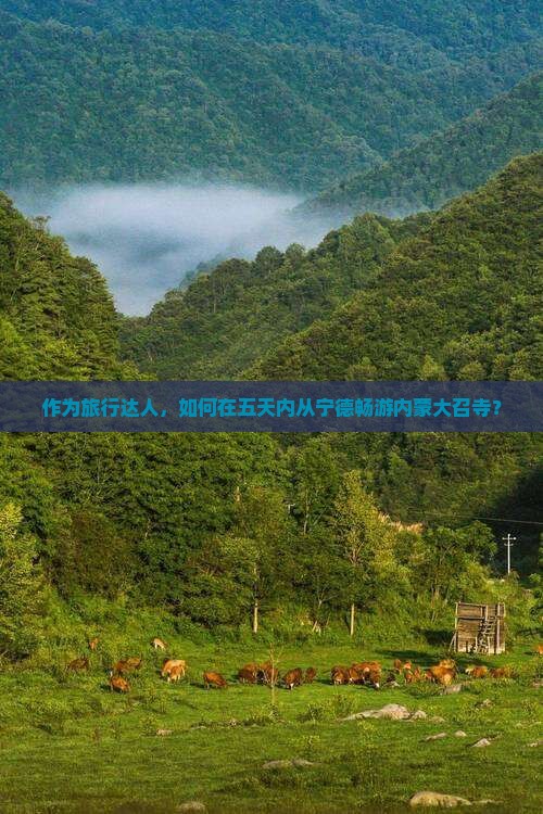 宁德去内蒙大召寺五日游